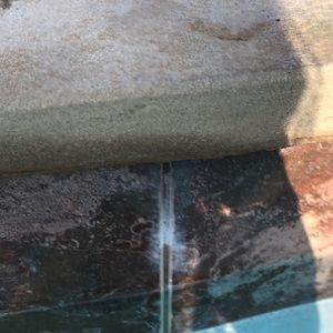 Meet your Posher, Gracelyn